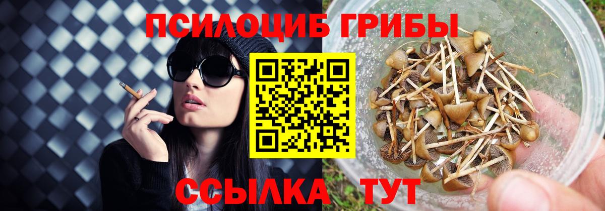 Псилоцибиновые грибы прущие грибы Дагестанские Огни