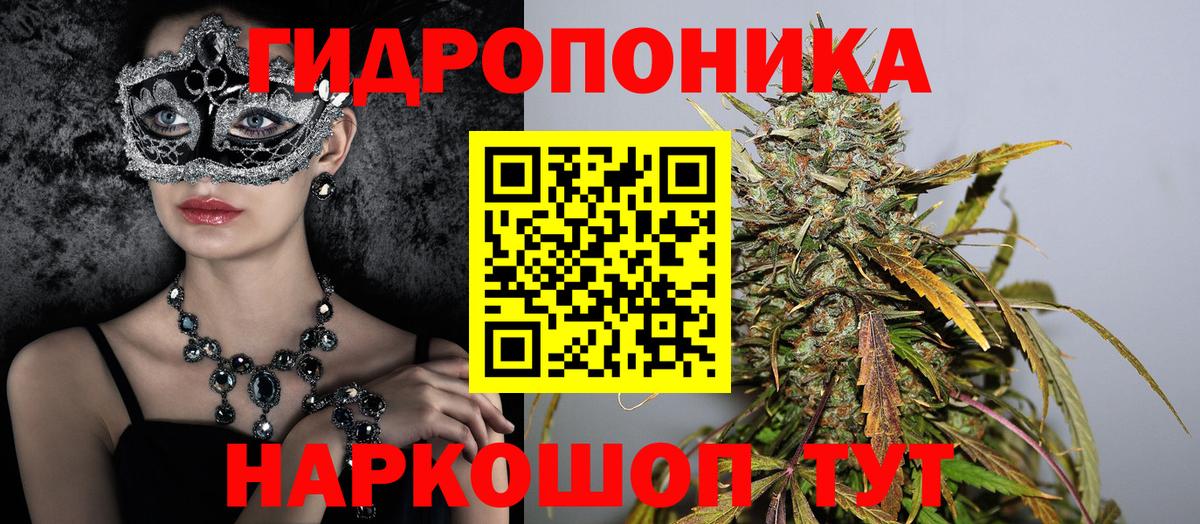Бошки Шишки планчик Дагестанские Огни